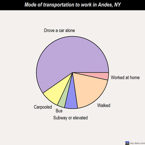 Andes mode of transportation to work chart
