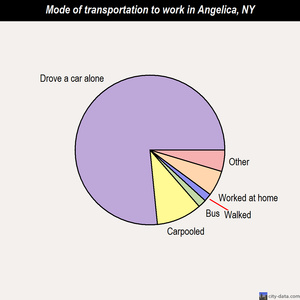 Angelica mode of transportation to work chart