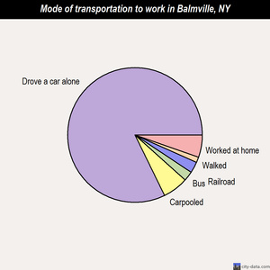Balmville mode of transportation to work chart