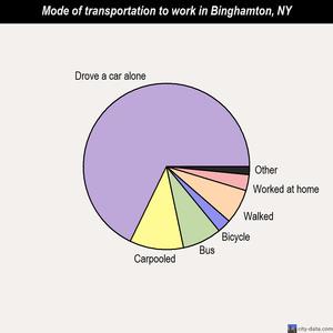 Binghamton mode of transportation to work chart