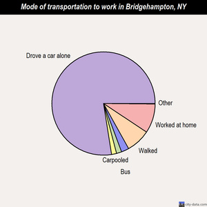 Bridgehampton mode of transportation to work chart