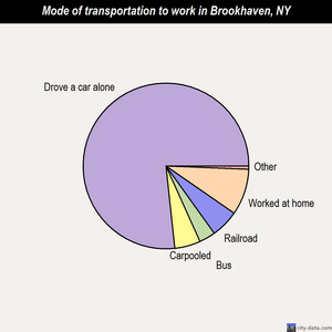 Brookhaven mode of transportation to work chart