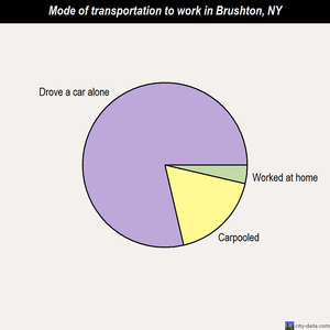 Brushton mode of transportation to work chart