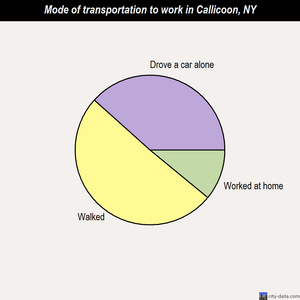Callicoon mode of transportation to work chart