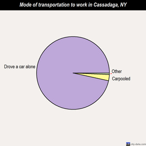 Cassadaga mode of transportation to work chart