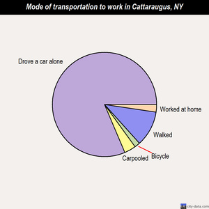 Cattaraugus mode of transportation to work chart