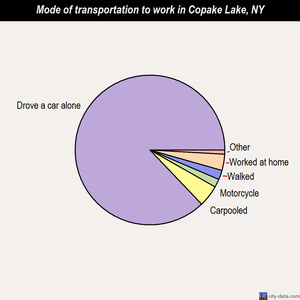 Copake Lake mode of transportation to work chart
