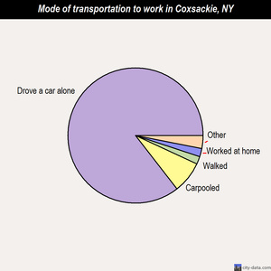 Coxsackie mode of transportation to work chart
