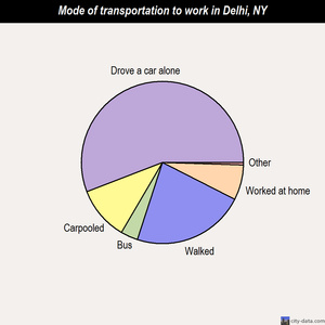 Delhi mode of transportation to work chart