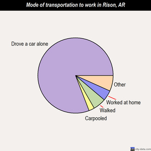 Rison mode of transportation to work chart