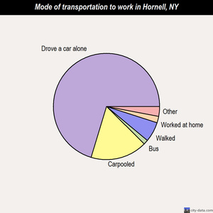 Hornell mode of transportation to work chart