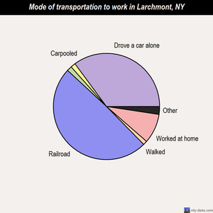 Larchmont mode of transportation to work chart