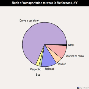 Matinecock mode of transportation to work chart