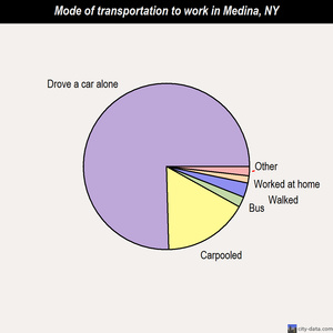 Medina mode of transportation to work chart