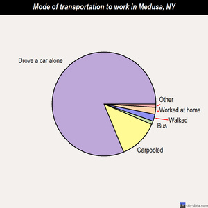 Medusa mode of transportation to work chart