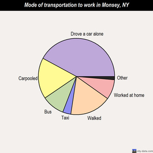 Monsey mode of transportation to work chart