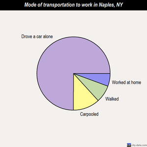 Naples mode of transportation to work chart