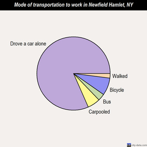 Newfield Hamlet mode of transportation to work chart
