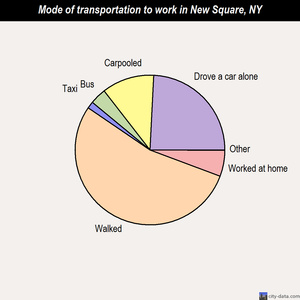 New Square mode of transportation to work chart