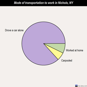 Nichols mode of transportation to work chart
