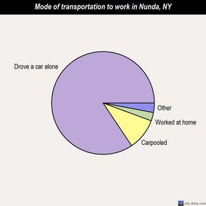 Nunda mode of transportation to work chart