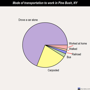 Pine Bush mode of transportation to work chart