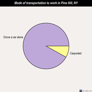 Pine Hill mode of transportation to work chart