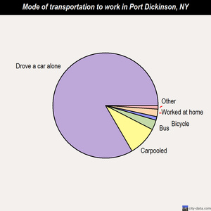 Port Dickinson mode of transportation to work chart