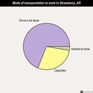 Strawberry mode of transportation to work chart