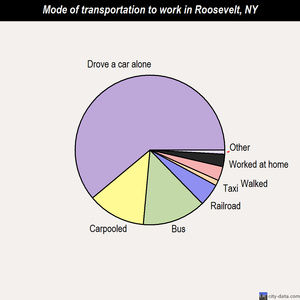 Roosevelt mode of transportation to work chart