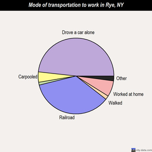 Rye mode of transportation to work chart