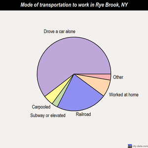 Rye Brook mode of transportation to work chart