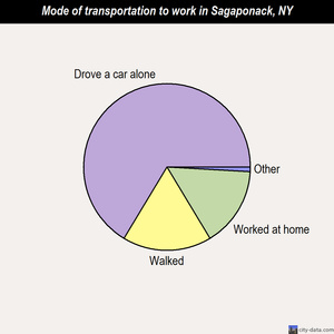 Sagaponack mode of transportation to work chart