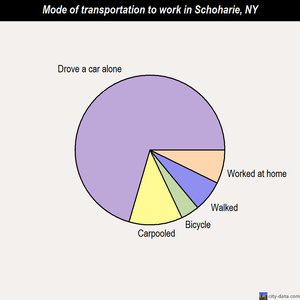 Schoharie mode of transportation to work chart