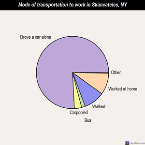 Skaneateles mode of transportation to work chart