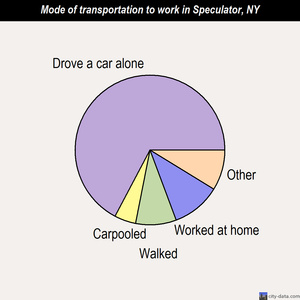 Speculator mode of transportation to work chart