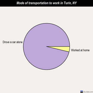 Turin mode of transportation to work chart