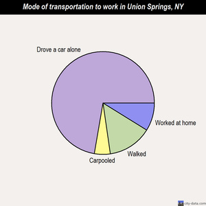 Union Springs mode of transportation to work chart