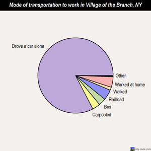 Village of the Branch mode of transportation to work chart