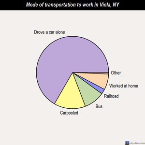 Viola mode of transportation to work chart