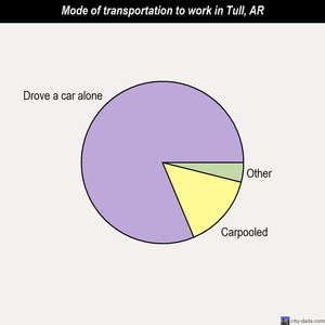 Tull mode of transportation to work chart