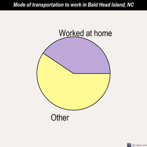 Bald Head Island mode of transportation to work chart