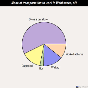Wabbaseka mode of transportation to work chart