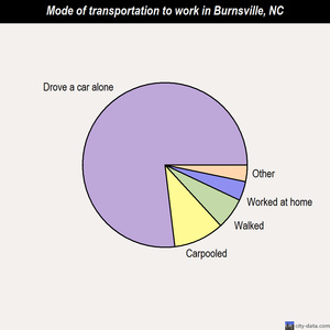 Burnsville mode of transportation to work chart