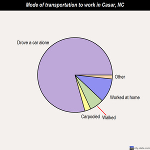 Casar mode of transportation to work chart