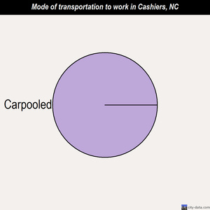 Cashiers mode of transportation to work chart