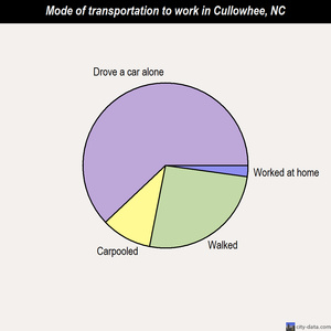 Cullowhee mode of transportation to work chart