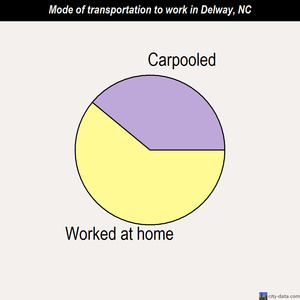 Delway mode of transportation to work chart