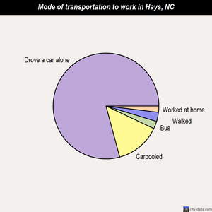 Hays mode of transportation to work chart