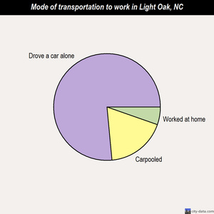 Light Oak mode of transportation to work chart